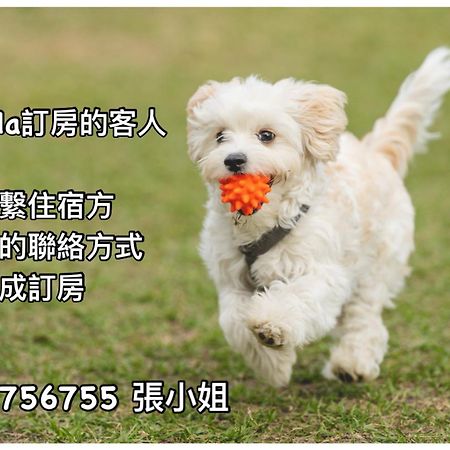 Haibian Mingren 50 Città di Hualien Esterno foto
